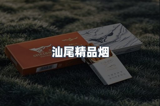 汕尾精品烟